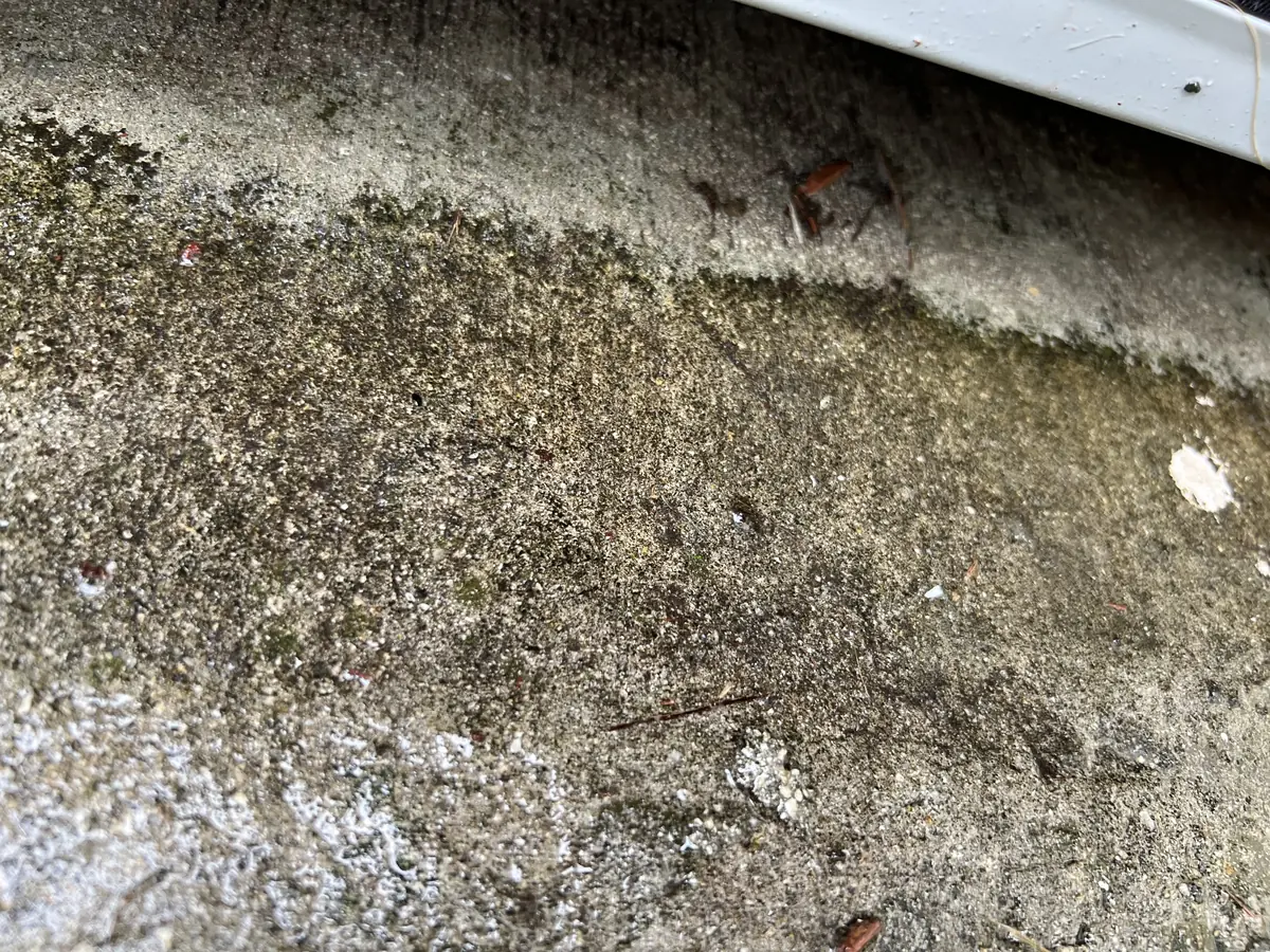 Exterior-surface field-context frame before cleaning