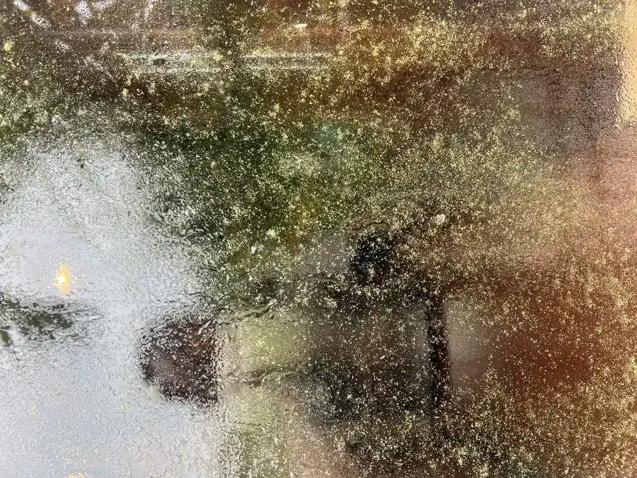 Exterior-wall field image before cleaning